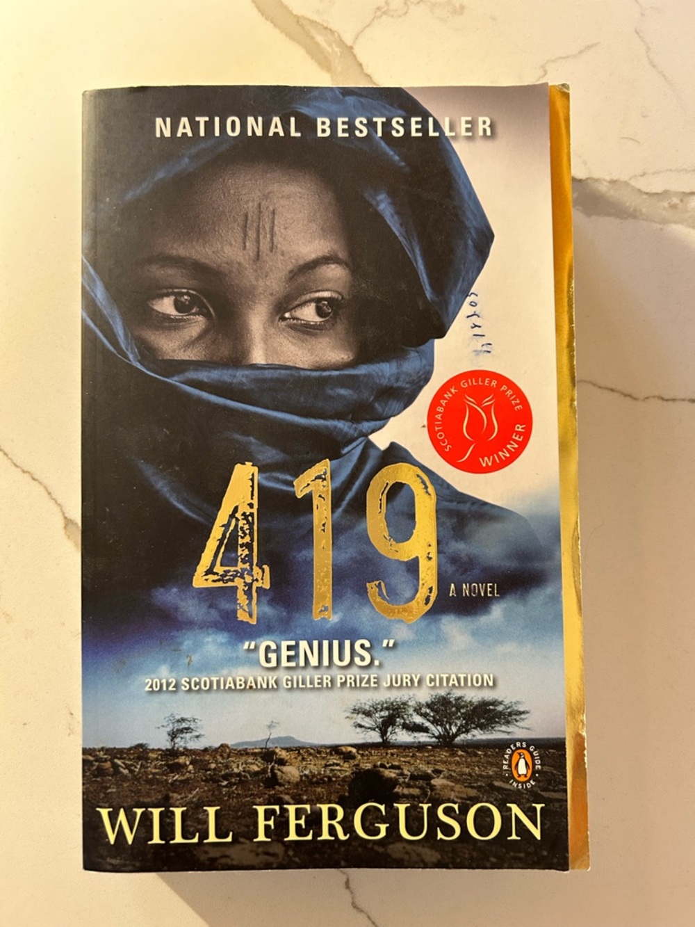 419 by Will Ferguson